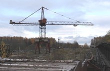 В Ярославской области незаконно вырубили более пяти тысяч кубометров леса