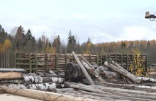 В Ярославской области незаконно вырубили более пяти тысяч кубометров леса