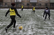 В Ярославле инспектируют спортивные площадки у школ