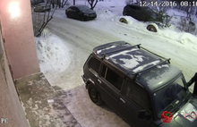 Видеокамеры «Безопасного города» фиксируют, как жители Ярославля мстят друг другу
