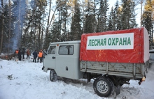 В Ярославской области началась операция «Ель»