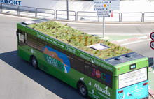 28 декабря, среда – доброе утро, Ярославль! В Испании запустят автобусы с садами на крышах для очистки городского воздуха
