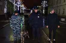 В Ярославской области в новогодние каникулы зарегистрировано почти двести преступлений