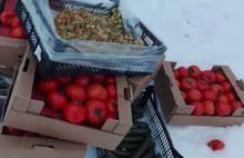 В Ярославской области уничтожат две с половиной тонны санкционных овощей и фруктов