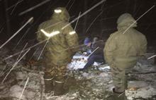 В Ярославской области задержаны «черные лесорубы»