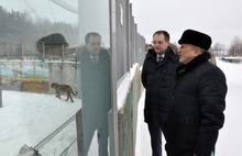 В Ярославском зоопарке появится центр реабилитации людей с ограниченными возможностями