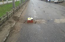 За цветы, высаженные в ямах на дорогах Ярославля, привлекут к ответственности