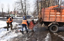 В Ярославле растет число несанкционированных свалок