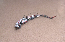 Десятилетний ярославец создал робота-репетитора