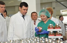 Продукция сельской шоколадной фабрики в Ярославской области поставляется во все регионы страны