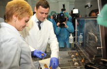 Продукция сельской шоколадной фабрики в Ярославской области поставляется во все регионы страны