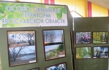 В Ярославле прошел областной детский экологический фестиваль