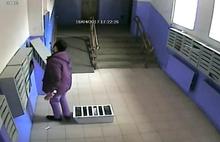 В Ярославле камеры наблюдений зафиксировали, как в подъездах воруют почтовые ящики