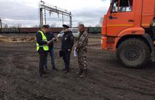 В Ярославской области продолжается борьба с «черными лесорубами»