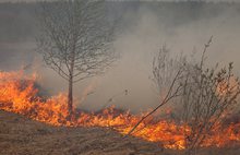 В соцсетях размещены фотографии пожара в Ярославской области от Гринпис