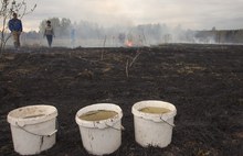 В соцсетях размещены фотографии пожара в Ярославской области от Гринпис