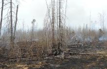 На территории Ярославской области введен противопожарный режим
