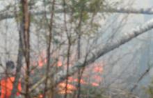 На территории Ярославской области введен противопожарный режим