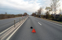 В Ярославской области мопед врезался в дорожное ограждение