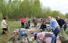Из лесов Ярославской области вывезли более 800 кубометров мусора