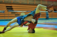 В Ярославле на Втором студенческом фестивале боевых искусств и спортивных единоборств  спортсмены показали свою волю к победе. Фоторепортаж