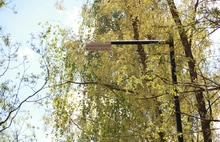 Вокруг пруда в парке «Нефтяник» в Ярославле установят 24 фонаря