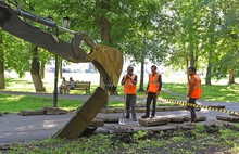 В Бутусовском парке в Ярославле начались работы по благоустройству