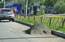 В Ярославле вдоль бордюров можно сажать картошку. Земли хватит