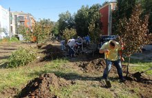 В центре Ярославля в Бутусовском поселке посадили яблоневый сад