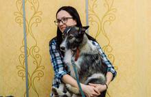 В Ярославле прошла акция по раздаче бездомных животных: фоторепортаж
