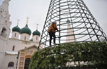 В Ярославле устанавливают главную елку высотой 20 метров