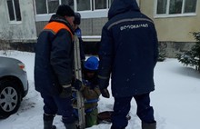  В Ярославской области установили решетки-ловушки