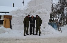 В Ярославле смастерили гигантскую собаку-горку из сугробов
