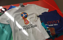 Ярославец придумал, как заработать на чемпионате мира по футболу