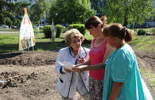 Более 80 тысяч цветов украсят в Ярославле парк 50-летия ВЛКСМ