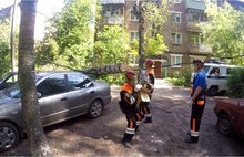 В Ярославле из-за сильного ветра огромная береза упала на припаркованные у дома машины