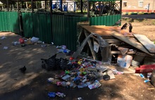 Грязно и плохо пахнет: «мусорный» репортаж из ярославских дворов