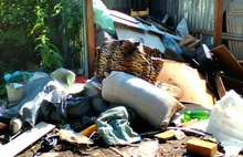 Грязно и плохо пахнет: «мусорный» репортаж из ярославских дворов