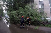 В Ярославле спасатели ликвидируют последствия ураганного ветра