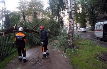 В Ярославле спасатели ликвидируют последствия ураганного ветра