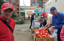 В Ярославле на несанкционированном рынке торгуют очками и покупают дорого рога