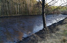 В Красноперекопском районе Ярославля водоем залили нефтепродуктами?