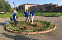 В Рыбинске по инициативе общественников в парке высадили шаровидные туи