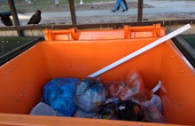 Раздельный сбор мусора в Ярославле: начинание «Хартии» провалилось?