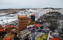 Не доставайтесь же вы никому: тонны овощей и фруктов раздавили в под Ярославлем
