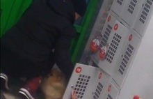 В Рыбинске посетительница магазина заперла собачек в камере хранения: видео