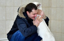 Мэр Ярославля играет с маленькой львицей Лавиной: видео