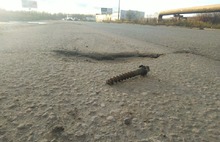 На ярославских дорогах, требующих ремонта, нашли болт
