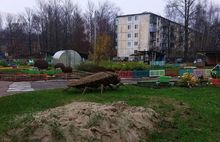 Детский сад в Ярославле: «Это не таракан, это светлячок!»