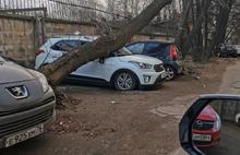 В Ярославль пришел ураган: фоторепортаж последствий природной стихии
